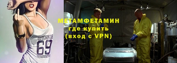 сатива Беломорск