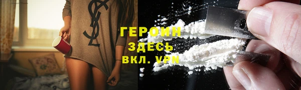 сатива Беломорск