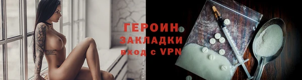 сатива Беломорск
