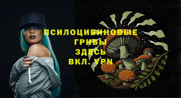сатива Беломорск