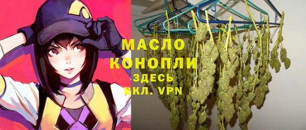 сатива Беломорск