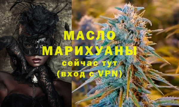 сатива Беломорск