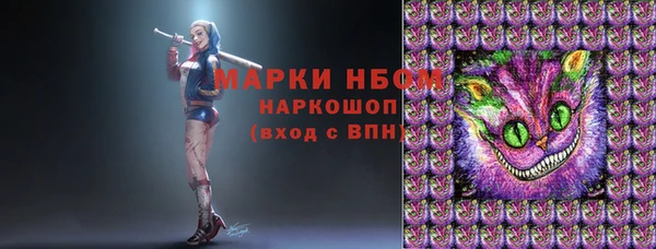 сатива Беломорск