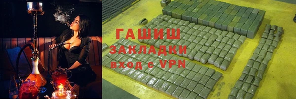 сатива Беломорск