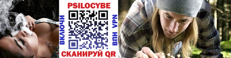 Псилоцибиновые грибы GOLDEN TEACHER  Купить закладки  Барыш 